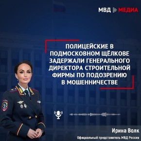 Полицейские в подмосковном Щёлкове задержали генерального директора строительной фирмы по подозрению в мошенничестве