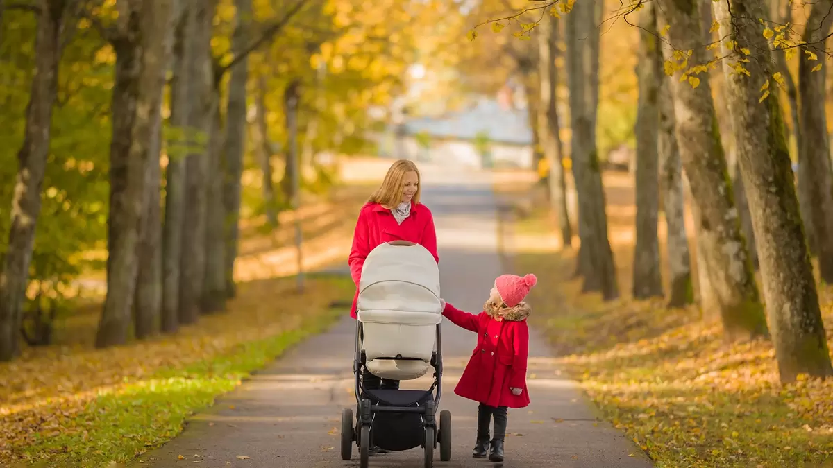 Многодетным семьям разрешат использовать маткапитал на покупку автомобиля