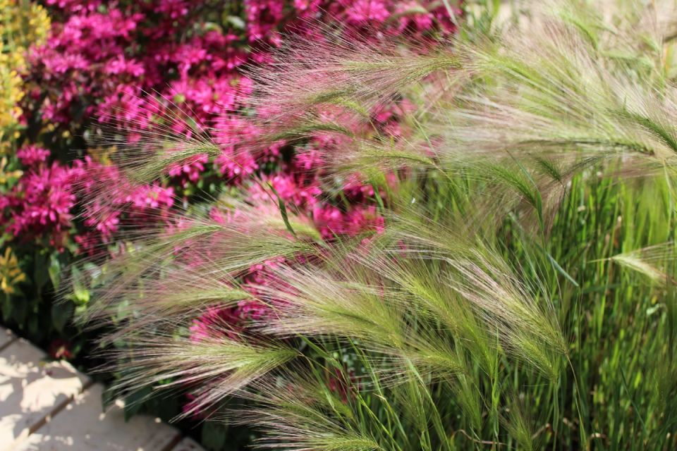 �������� ������� ������ ��������: ������������ ������ ���������