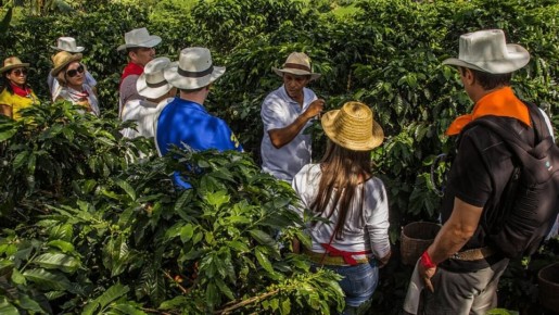 �������� ��� �� ��������: ��� ������� �� ���������