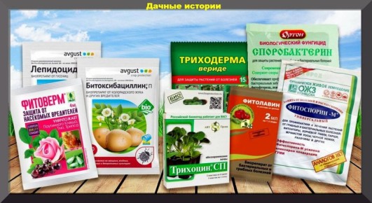 ��� ���������� ��������� �� ������������� ��� ���� � �������