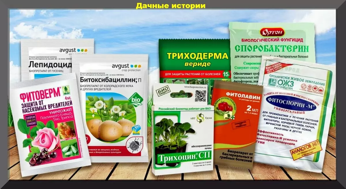 Как эффективно экономить на биопрепаратах для сада и огорода