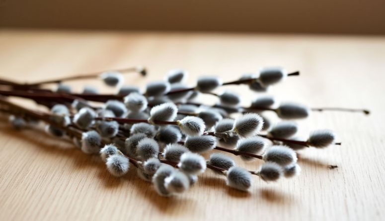 �������� �������������: �������� ������� � �������� 21 �����