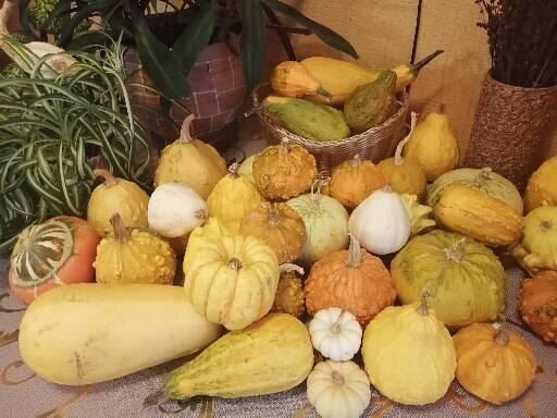 ��� ��������� ����������� ������������ ����� � ����� � ���������