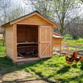 ��� ���������� ������ �������� � ���������� � ������������������� ��� ��� ����� ���