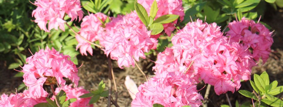 ����� �������� � 2025 ����: ������ � ������������ ��� �����������