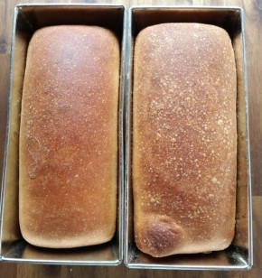 ��� ������ ��������� �������� ���� �� ��������