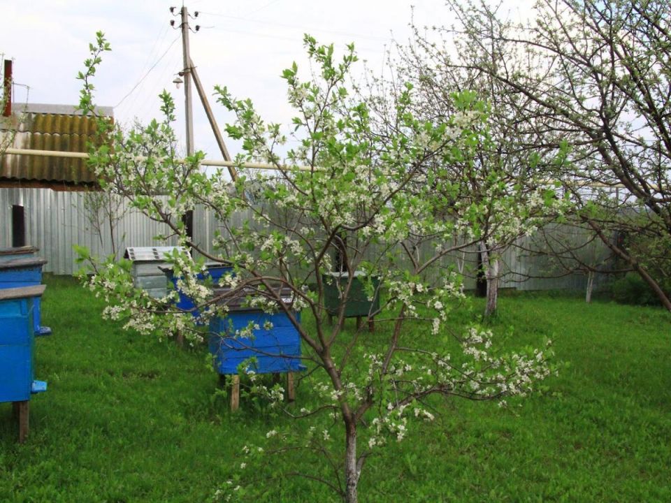 ��������� ������� � �������: ��������� ��� ���������� � ���������?