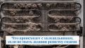 Чем грозит пренебрежение чисткой холодильника: неожиданные последствия