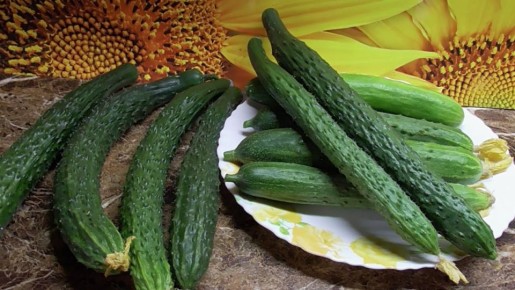 ��������� ����� �������, ������� �������� ���������� �� ������ �������