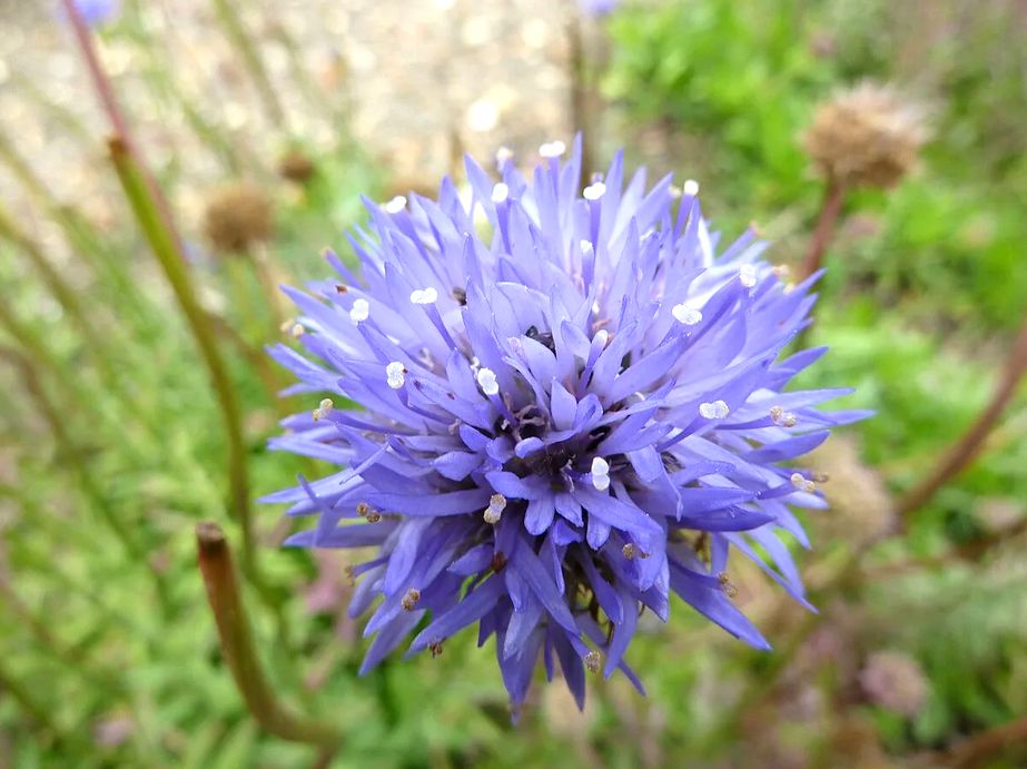 �������� ������: ��������� �������� � ��������� ����������