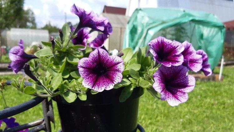 ����������� 2026: ��� ������ ���� �������� � ���� ������