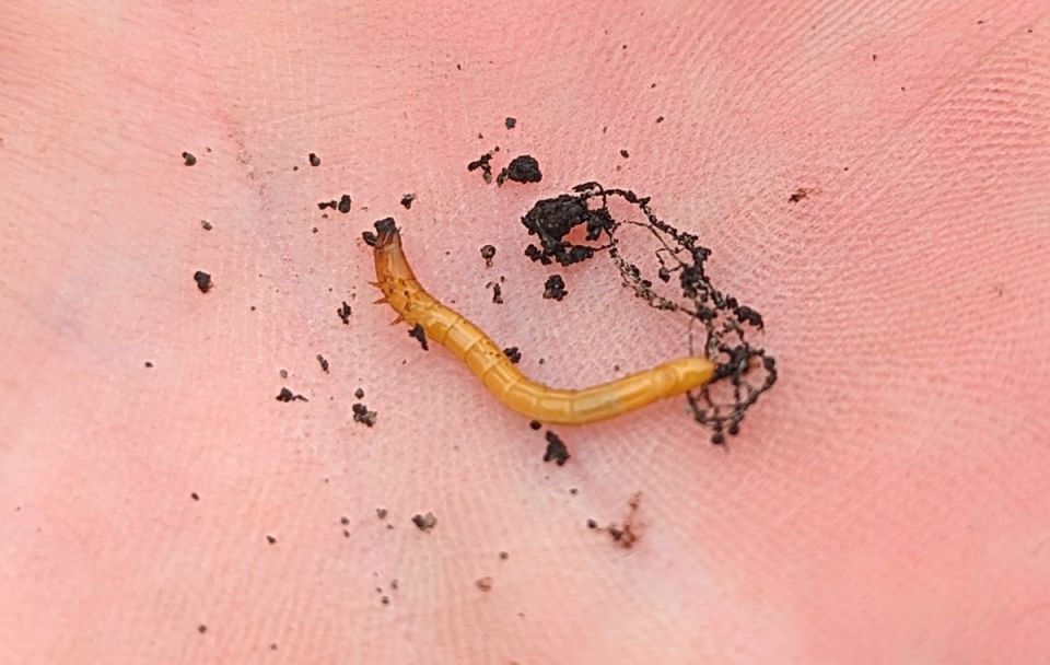 ��� ����� ����� ������ ���������� �� ������������ �� ����� �������