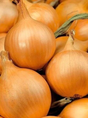 ��� �����: ������������ ���� � ������� �������� � ���������� ������