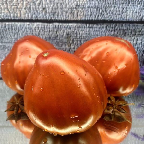 ���������� ������: ������ ��������� � ���������� ��������