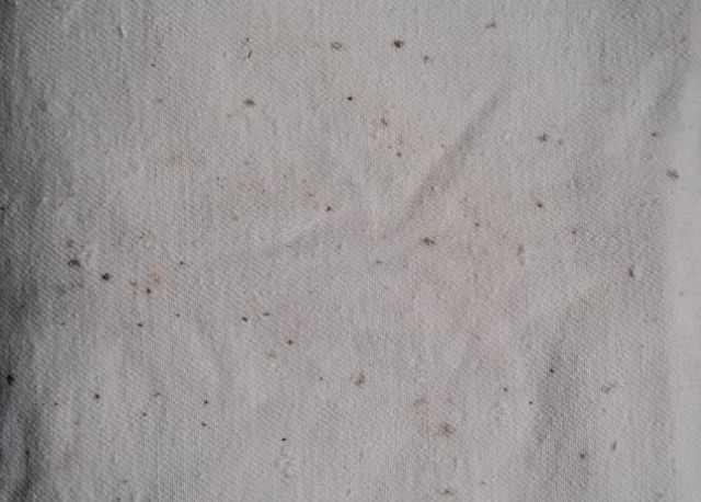 ��� ���������� ������� ������� � ������: ������ � �������