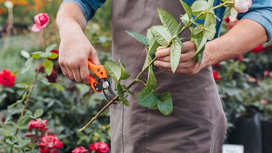 ���������� ������� �������� ��� � �������� ������