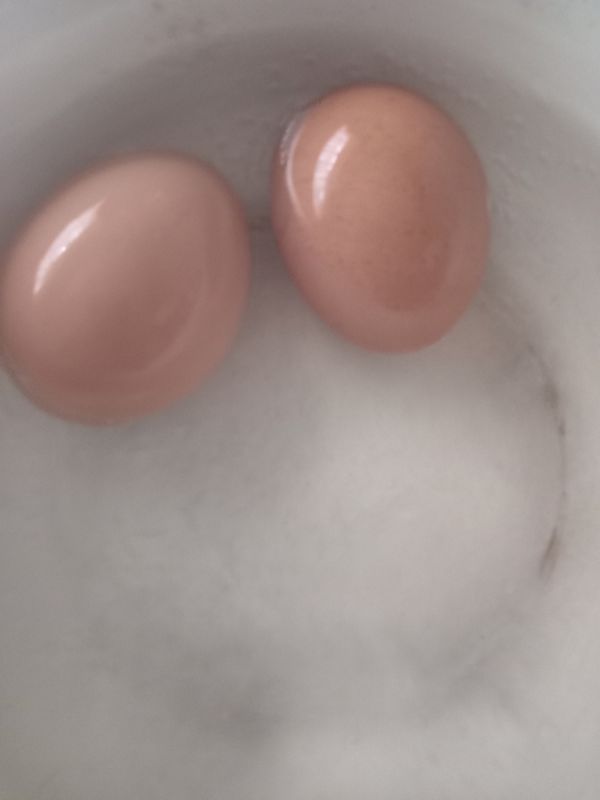 ����� ������ �� ������������ ����������: �����-��������� �������