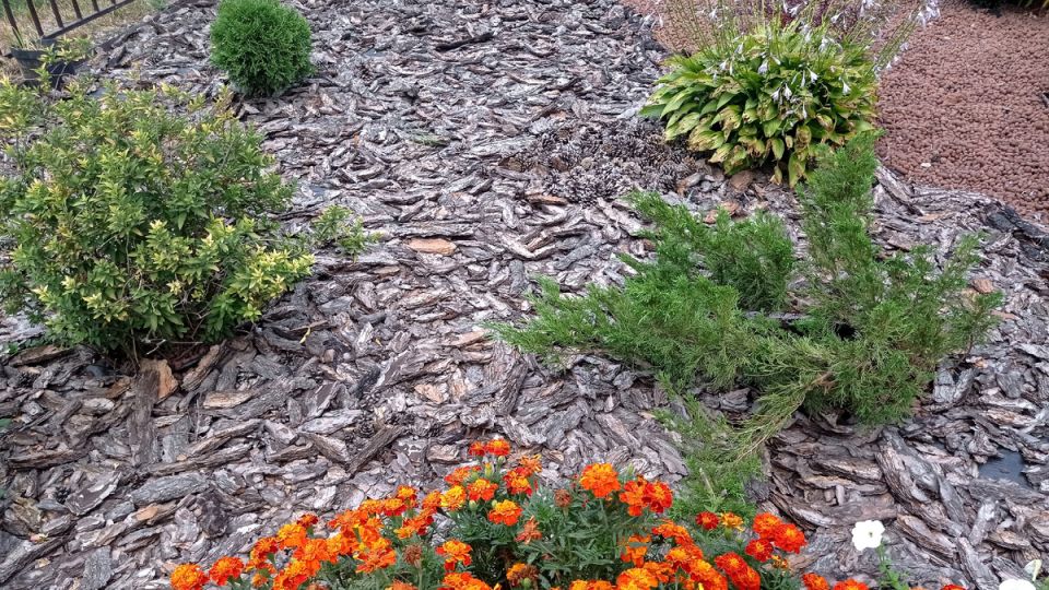 ��� ������������� ����� ���������� ���� ���� � �������� ������