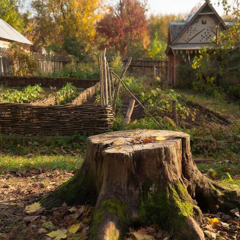 ����������� ������� ���������� �� ��� ��� ����������