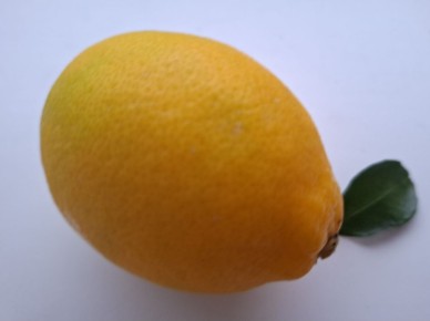 Лимон: ценный помощник для здоровья и кулинарии