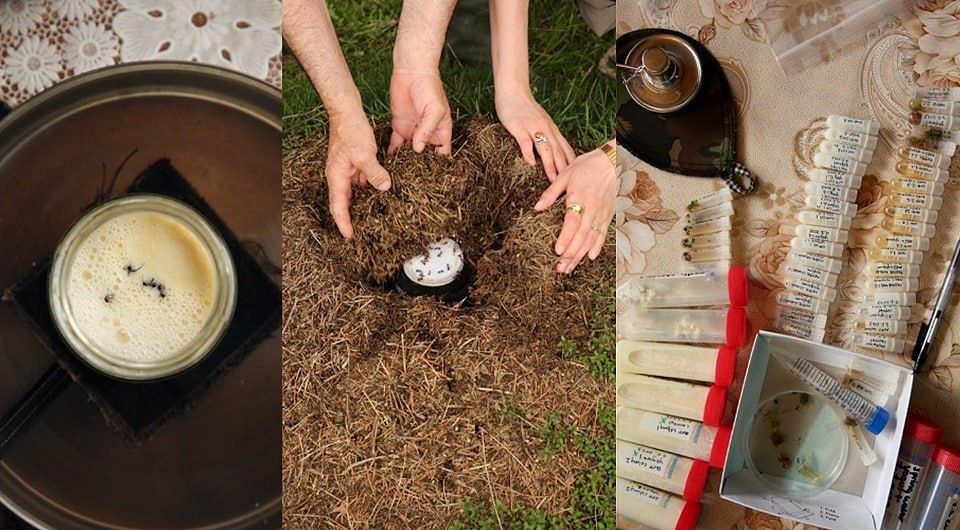 ��� ����� ������� ���������� ������ � ������: ������� ������� ����������