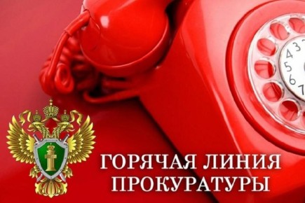 В прокуратуре Мурманской области с 14.00 до 16.00 будет проведена «горячая линия» на тему противодействия телефонным мошенничествам