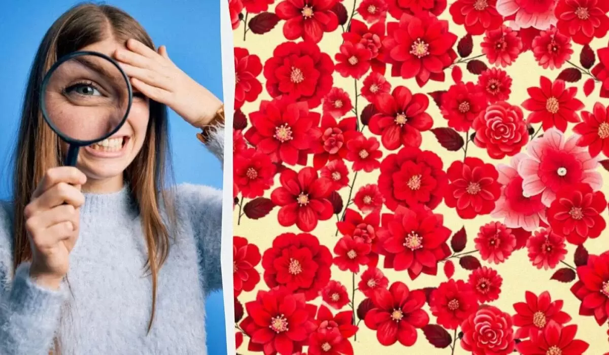 Уникальная головоломка: Найдите туфельку среди цветов всего за 10 секунд