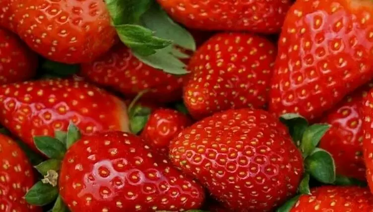 Как выбрать качественную клубнику: советы от экспертов