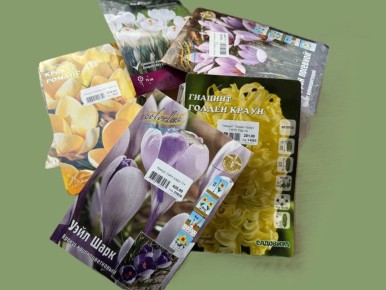 ������� ��� �� ��������: ����� �� ����� ������ ������?