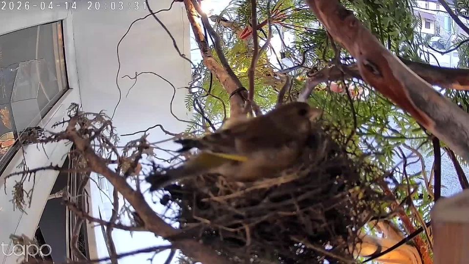 ������� ������� � ���, ��� �� ������� ���������� �������� � ��������� ����� ����� ������?