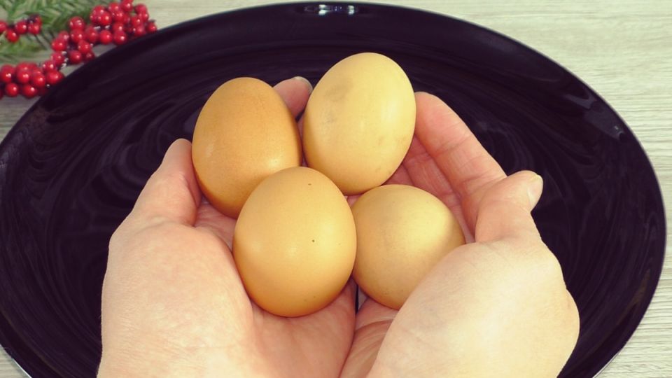 ������� ��� ���� � ������� ������ �����: ��� ������� �� Wildberries