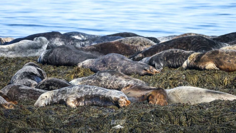 �������� ������ �� ������ � �����