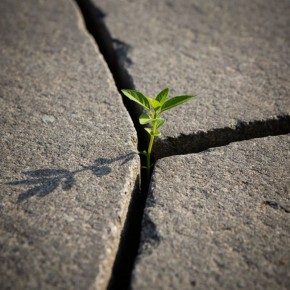 Семья как священное призвание: открываем тайны ежедневных забот