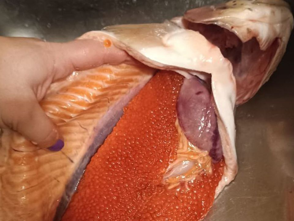 �������� ������ �������: ��� �������� ���� � �������� ������