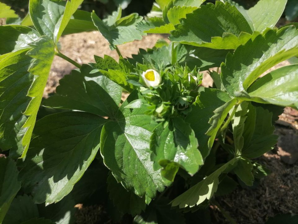 ���� �� ���������� � ���������: ������� ��������� ��������