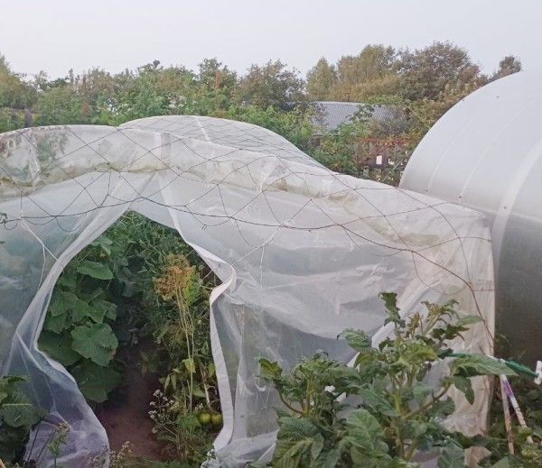 �������, ������� �������� ����: ��� ��������� ����� ������� �������