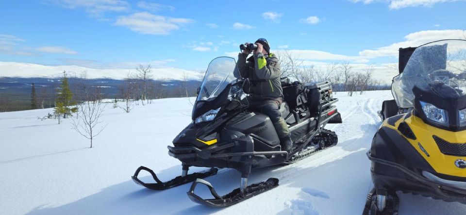 � ����������� ����������� ���������, ��� ����� ����� �������� �����