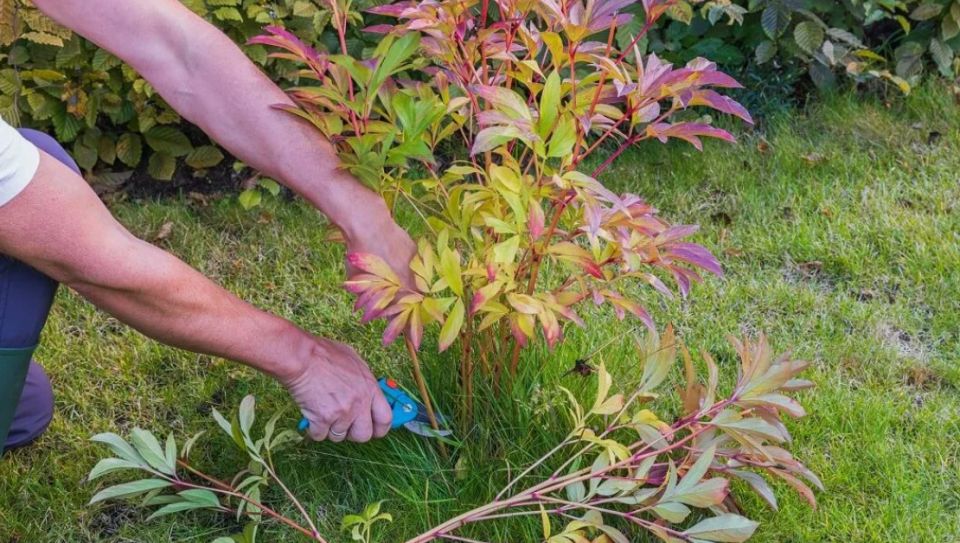 ����� ����� �������� � �����: ������� ��������� ����� �� ������� � �� ���������� � ����