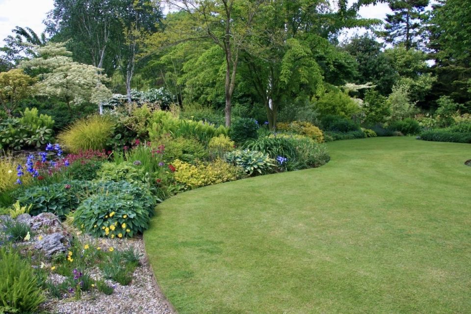 ��� ������� ��������� �����: ���, ��� ����� ����� ����� �������