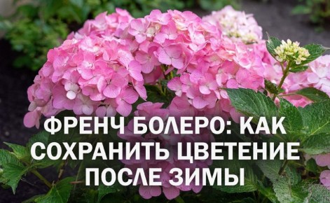 ������� ������: ��������� ����� ������ � ����� ����