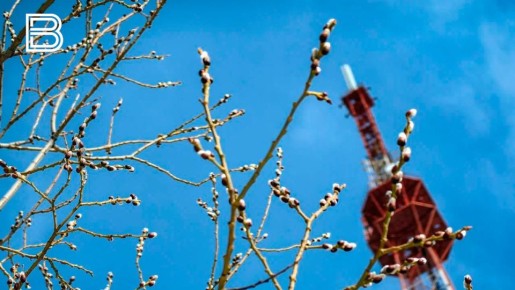 �� ���������� ����������� ��������������, 18 ������ � �������� ��������� ����� ������� � ������������