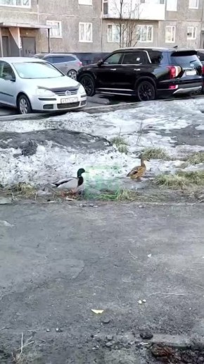 ������ ����, ���������!. � ������������ ����� ���������� ����� ����� ����������� ��������� ���� � ����� ����������� ������