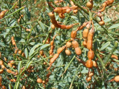 ��������� �������: ��������� ���������� � ����������� �������������