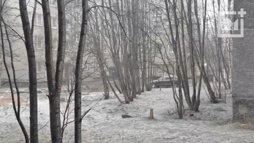 ������ ����, ���������!. �������� ��������� ��� ������ ������������� ������� ��������, ������� ��������� �������� ��������