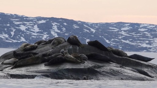 ����� ������ �������� ����� ����� ����������� ���������� ����������� ������ ��������� ����