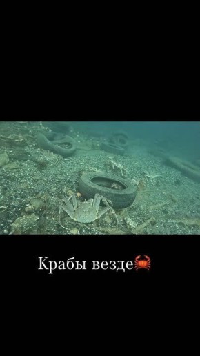 ��� ������� �� ��� ��������� ����?