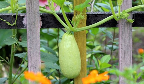 ����������� � ��� ��������: ����� ����� ������� � 2025 ����