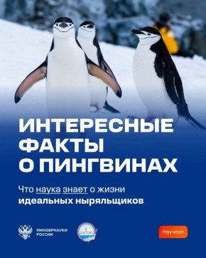 ����� �� ����� ���� ����� ���, �� ���� �� � ����, � � ���������