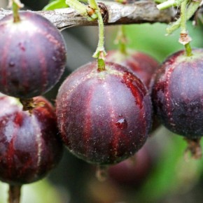 ��������� ���������: ��������� ������ � �����